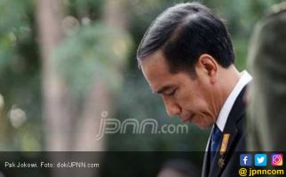Please! Jangan Permalukan Pak Jokowi Lagi dengan Asap - JPNN.com