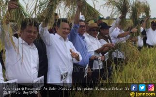 Setahun Tiga Kali Panen Raya Padi, Petani Bisa Untung Besar - JPNN.com