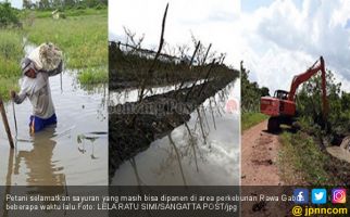 Lahan Kebanjiran, Petani di Sangatta Selatan Gagal Panen - JPNN.com