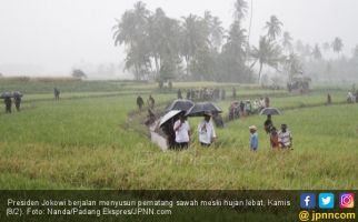 Presiden ke Sawah Saat Hujan Lebat, Arief: Nanti Pilek Lho - JPNN.com