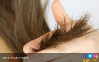 7 Bahan Alami Ini Bisa Atasi Rambut Bercabang, Membuat Anda Lega - JPNN.com