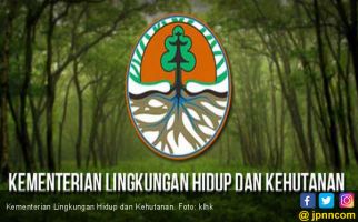 KLHK: HGU PT BUK di Luar Kawasan Hutan - JPNN.com