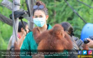 Lihatlah, Puteri Indonesia Sayang Banget sama Orang Utan - JPNN.com