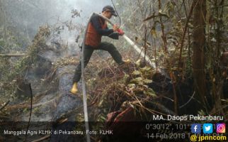 Tenang, Satgas Karhutla Sudah Terjun di Tiga Provinsi - JPNN.com