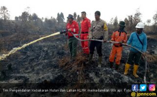 Kebakaran Lahan Riau, Kepolisian Tangkap 14 Orang - JPNN.com