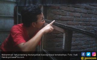 Ternak Burung, Hasilnya Jauh Melebihi Gaji Orang Kantoran - JPNN.com