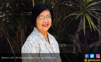 Menteri Siti Kaji Revisi Inpres Gambut - JPNN.com