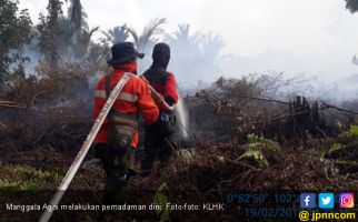 Pantauan Hotspot Nihil, Manggala Agni Tetap Waspada - JPNN.com