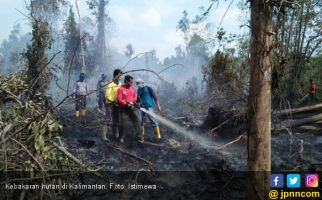 BRG Perbanyak Posko dan Infrastruktur Pembasahan - JPNN.com