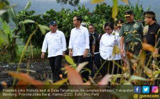 Presiden Jokowi Lepas Sepasang Elang Jawa di Sungai Citarum - JPNN.com