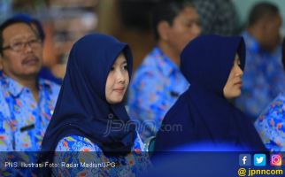 Formasi CPNS tak Harus Sama dengan Jumlah PNS Pensiun - JPNN.com