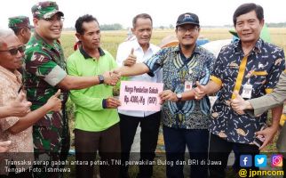 Bulog Harus Gerak Cepat Serap Gabah Petani - JPNN.com