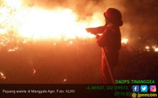 Manggala Agni Siap Meniadakan Api yang Membakar Hutan - JPNN.com