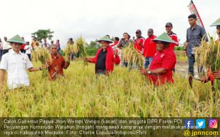 Panen Raya di Merauke, JWW Bakal Bangun Gudang demi Petani - JPNN.com