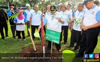 Kementerian LHK Tambah Ruang Terbuka Hijau di Jakarta - JPNN.com