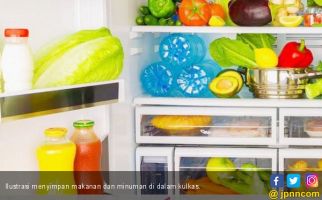 10 Makanan yang Aman Disimpan Lama di Dalam Kulkas - JPNN.com