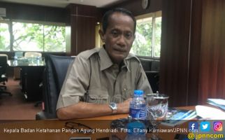 Badan Ketahanan Pangan Ingin Ulangi Prestasi 2017 - JPNN.com
