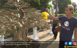 Bonsai Anting Putri Ditawar Rp 1 Miliar tapi Masih Sayang - JPNN.com