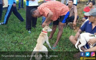 Ini Upaya Kementan untuk Kendalikan Rabies di NTT - JPNN.com