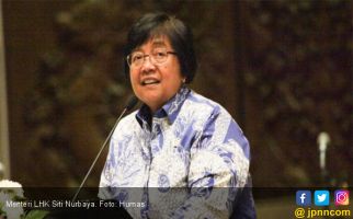 Menteri Siti Targetkan 230 Ribu Hektare Penanaman Pohon 2019 - JPNN.com