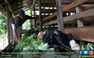 Program Desa Makmur Peduli Api Dongkrak Ekonomi Rakyat - JPNN.com