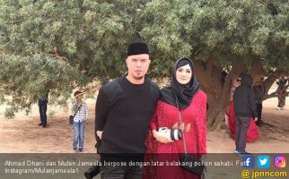 Ahmad Dhani Ungkap Alasan Jatuh Cinta ke Mulan Jameela, Ternyata - JPNN.com