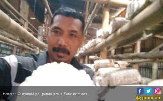 Honorer K2 Nyambi jadi Buruh Bangunan, Ada yang Tanam Jamur - JPNN.com