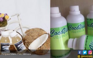Vinegar Air Kelapa, Solusi Sehat Sebagai Pengawet Alami - JPNN.com