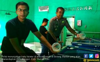 Polisi Gerebek Rumah Penyimpanan Baby Lobster di Serang - JPNN.com