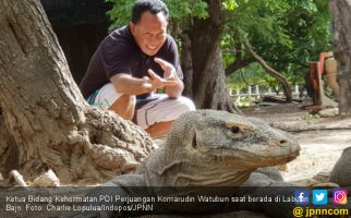 Bung Komar Beber Arti Penting Segitiga Maluku, Papua dan NTT - JPNN.com