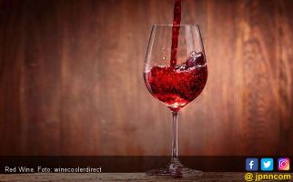 5 Manfaat Red Wine yang Tidak Terduga, Lindungi Tubuh dari Penyakit Ini - JPNN.com