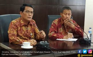 Telur dan Daging Ayam Cukup Jelang Puasa dan Idulfitri 2018 - JPNN.com