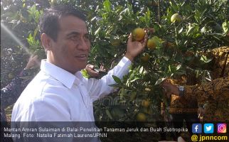 Mentan Optimistis Indonesia Bisa Jadi Lumbung Pangan Dunia - JPNN.com