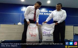 Polri Gagalkan Penyalahgunaan 40 Ton Garam Impor Industri - JPNN.com