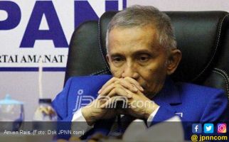 Soal Kasus Ratna Sarumpaet, Amien Rais Diminta Kooperatif - JPNN.com