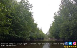 Revitalisasi Hutan Kota Kemayoran Diprediksi Rampung 2019 - JPNN.com