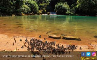 Merasakan Suasana ala Negeri Dongeng di Taman Nasional Babul - JPNN.com