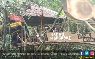 Susuri Hutan Mangrove Munjang, Berdamai dengan Alam - JPNN.com