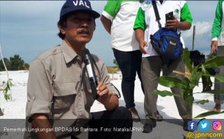Berjuang Hijaukan Kembali Bangka di Tengah Tambang Ilegal - JPNN.com