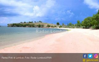 Mengintip Pesona Pantai Pink di Lombok Timur - JPNN.com