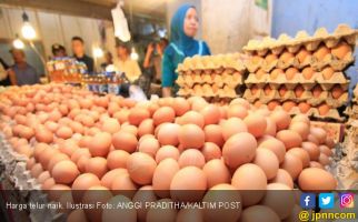 Harga Telur dan Daging Ayam Naik Jelang Natal - JPNN.com