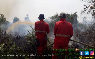 24,5 Hektare Lahan Terbakar, Tebo Tingkatkan Status Siaga - JPNN.com