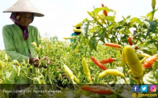 Raker Bareng Kementan, Anggota Komisi IV DPR Singgung Kesejahteraan Petani & Harga Cabai Rawit - JPNN.com