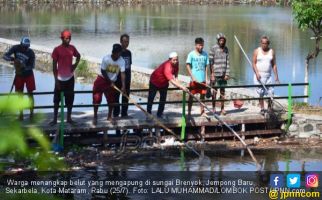 Belut Tiba-tiba Bermunculan, Warga Heran: Ada Apa? - JPNN.com