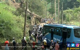 Pohon Usia Ratusan Tahun Mendadak Tumbang Timpa Mobil - JPNN.com