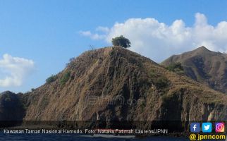 Soal Pembangunan Taman Nasional Komodo, Kalimat Angelo Menohok Jokowi - JPNN.com