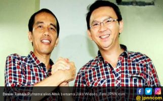 Benarkah Ahok Pengin Jadi Juru Kampanye Jokowi? - JPNN.com