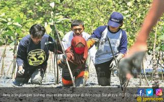 Jaga Lingkungan dengan Bersih Pantai dan Tanam Mangrove - JPNN.com