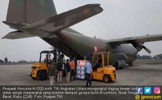 Pesawat Hercules Angkut Daging Kurban untuk Korban Gempa NTB - JPNN.com