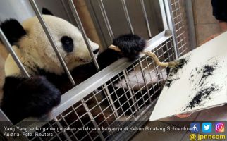 Terungkap, Ini Penyebab Kematian Panda Tiongkok di Kebun Binatang Thailand - JPNN.com